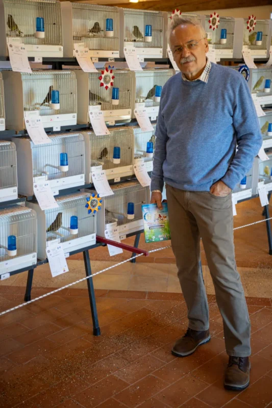 img hornemanni 2025 03