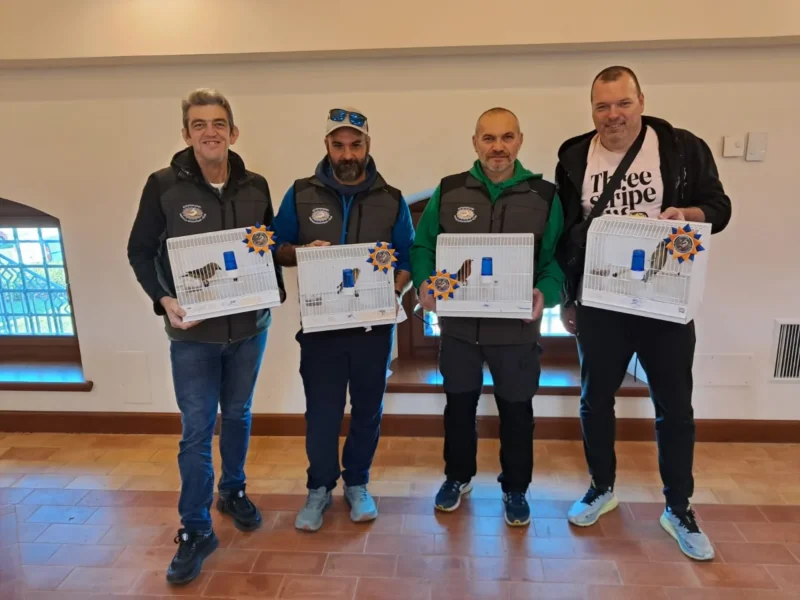 img hornemanni 2025 16