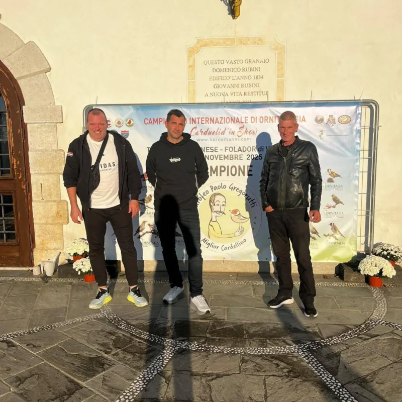 img hornemanni 2025 21