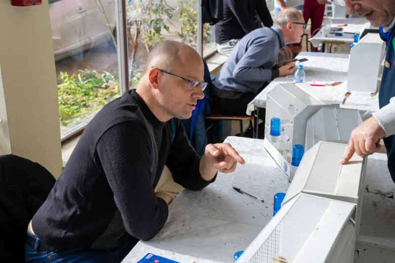 img ornisinj 2025 007