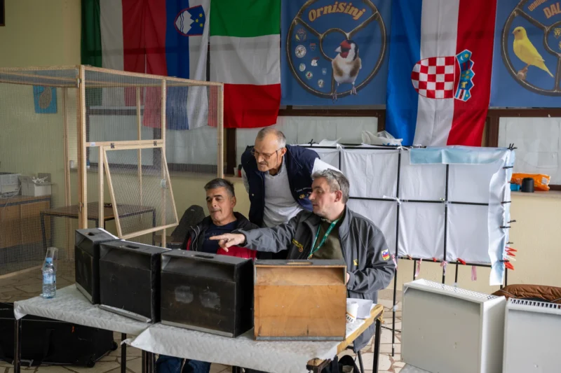 img ornisinj 2025 009