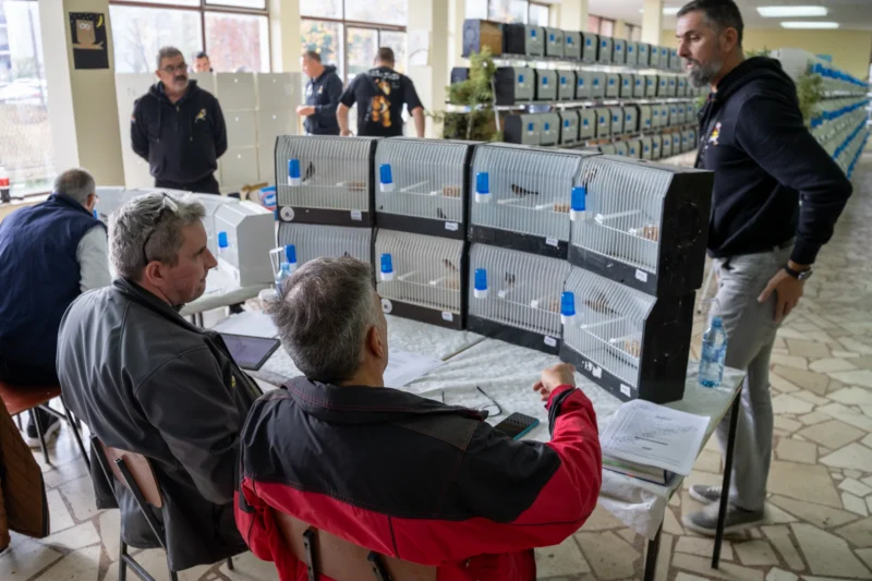 img ornisinj 2025 014