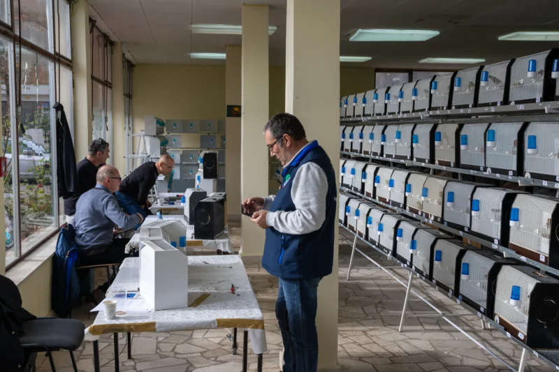 img ornisinj 2025 017