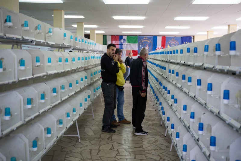 img ornisinj 2025 019