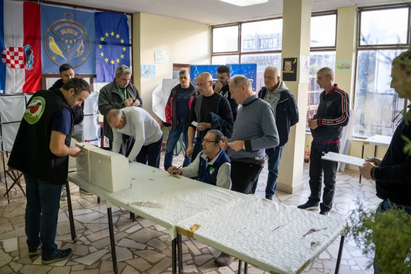 img ornisinj 2025 028