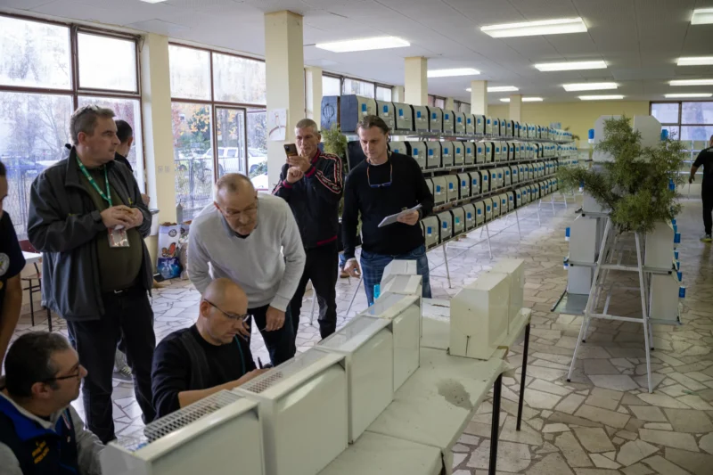 img ornisinj 2025 031