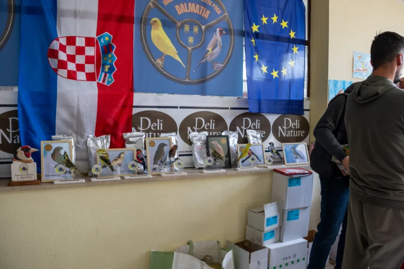 img ornisinj 2025 040