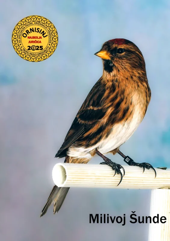 img ornisinj 2025 103