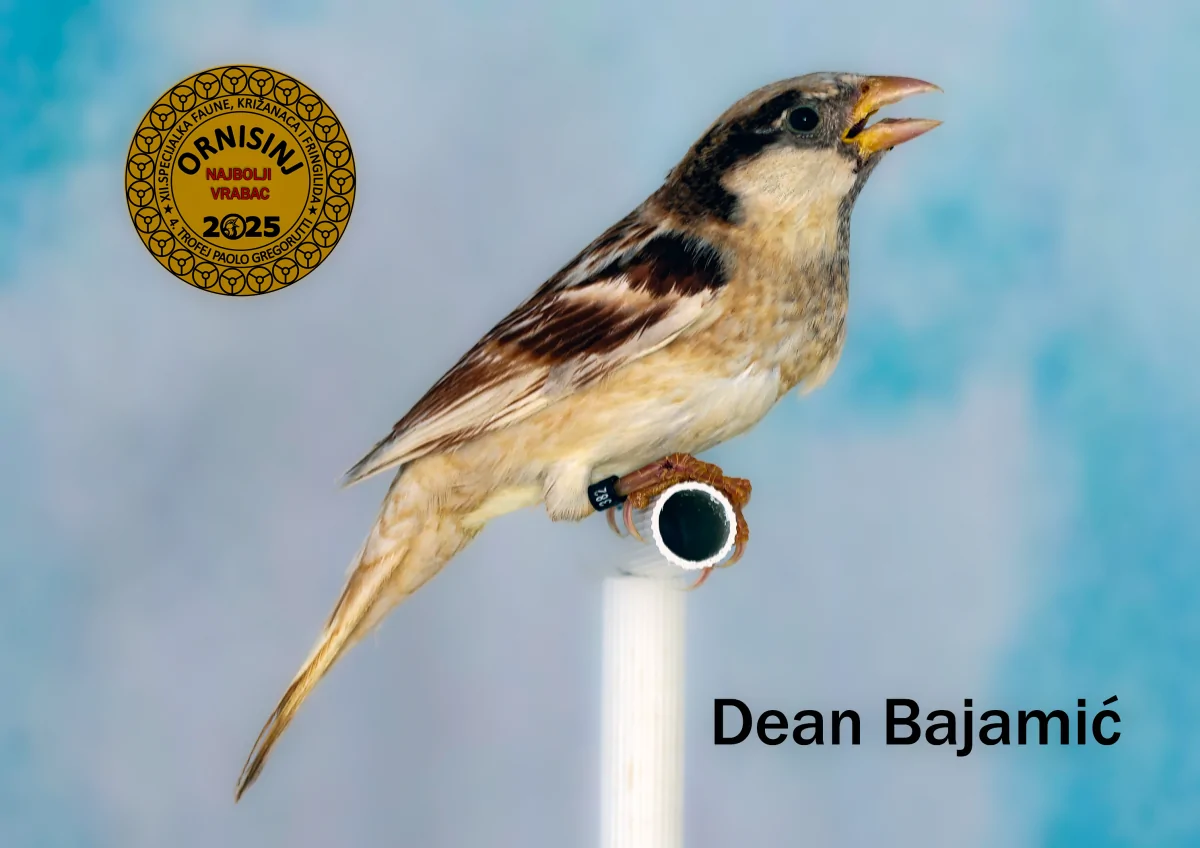 img ornisinj 2025 107